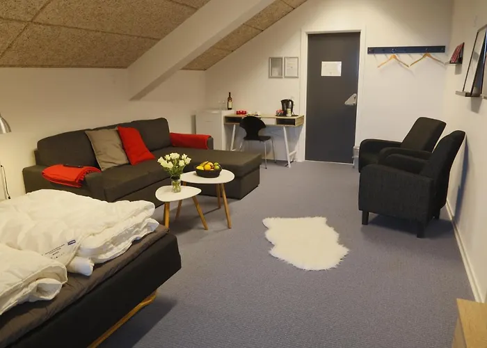 Danhostel Centret 3* Rødding